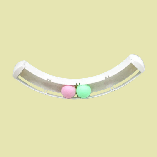 Interactive Track Cat Toy